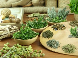 the treatment power herbs